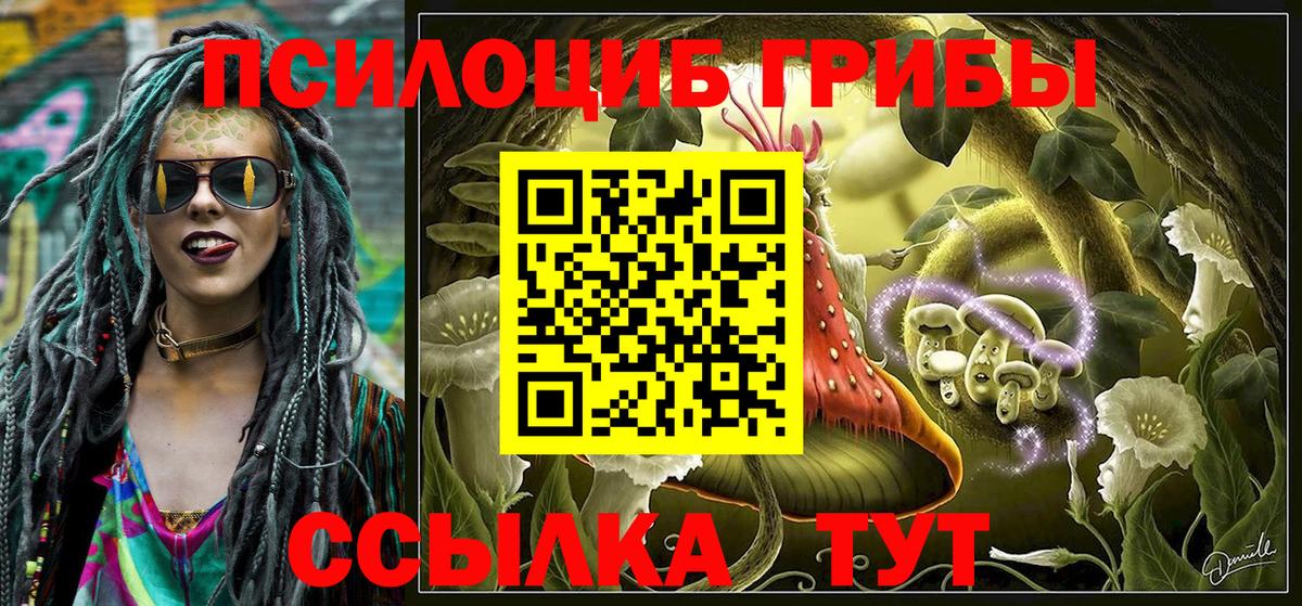 Нововоронеж  Галлюциногенные грибы ЛСД  Вход с VPN 