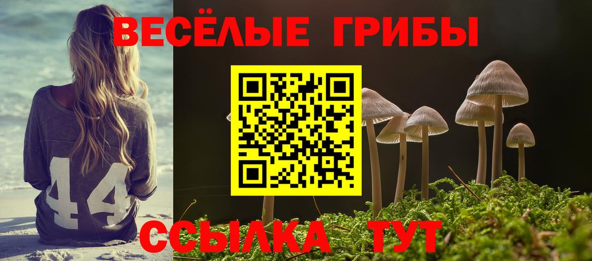 Галлюциногенные грибы MAGIC MUSHROOMS Нововоронеж